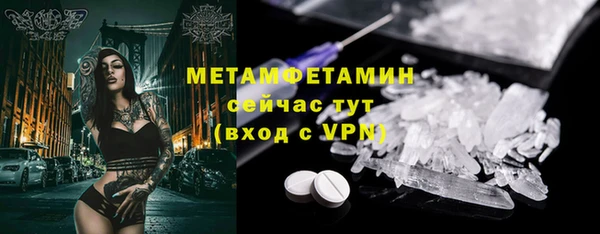 прущие грибы Новозыбков