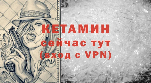 прущие грибы Новозыбков