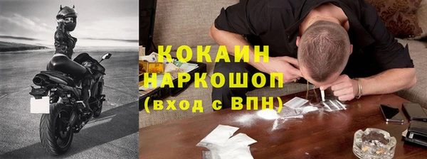 прущие грибы Новозыбков